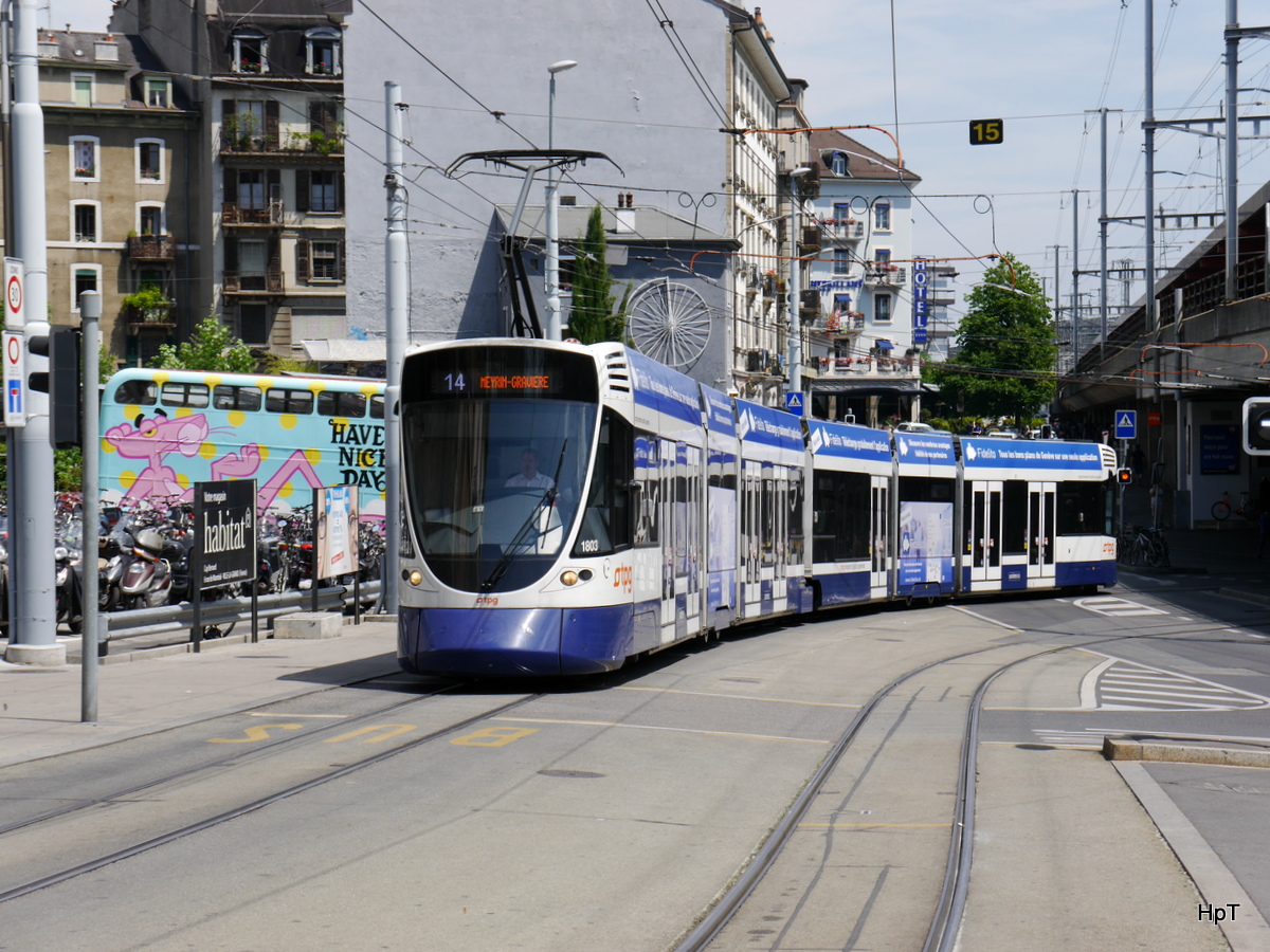 tpg - Tram Be 6/10 1803 unterwegs auf der Linie 14 in der Stadt Genf am 03.06.2017