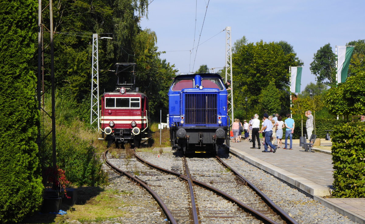Traktionswechsel in Alverdissen. Links E 22, die den Zug von Bösingfeld bis hierhin gebracht hat, rechts hat sich V 2.004 (98 80 265 101-6 D-VBV) vor den Zug gesetzt, um ihn weiterzubefördern (28.8.16).