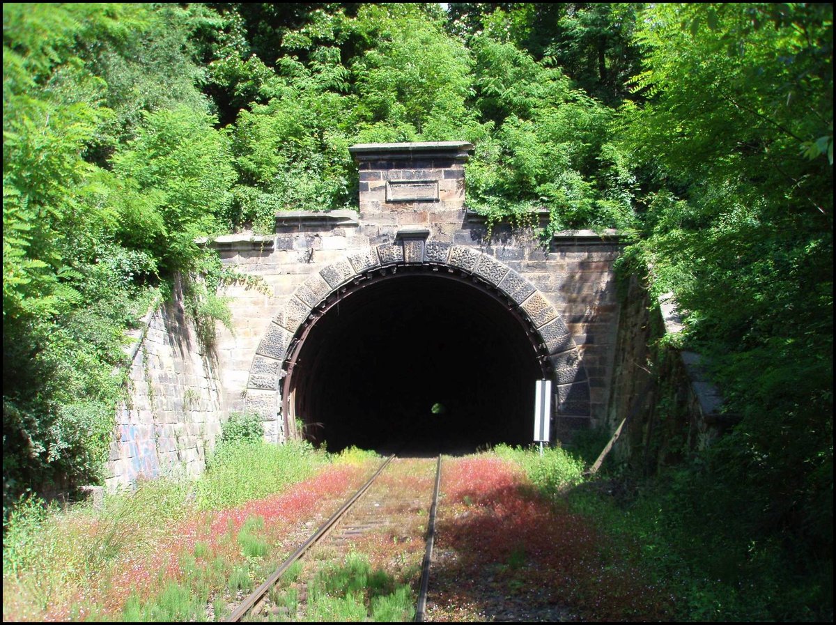 Tunnel bei Rynholec (Baujahre 1897, Länge 400m)am 22. 6. 2012.