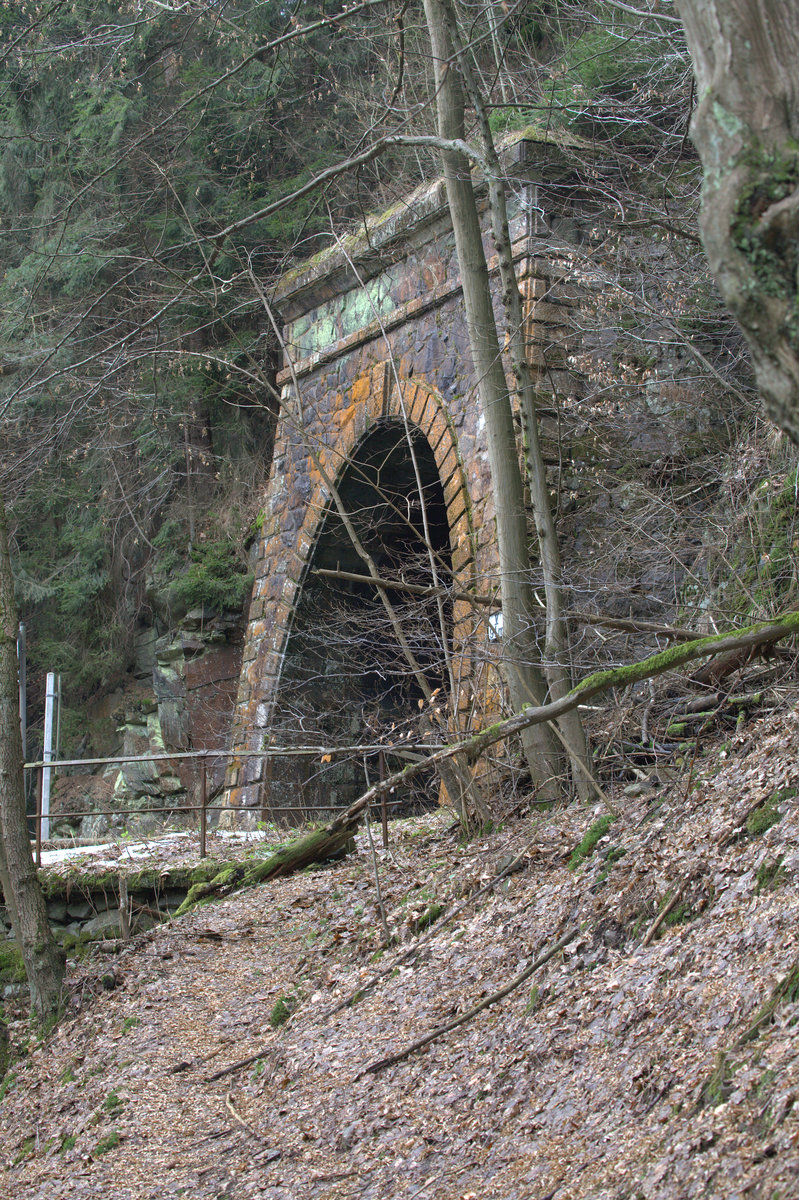 Tunnelportal im Sebnitztal. 26.02.2017 12:03 Uhr.