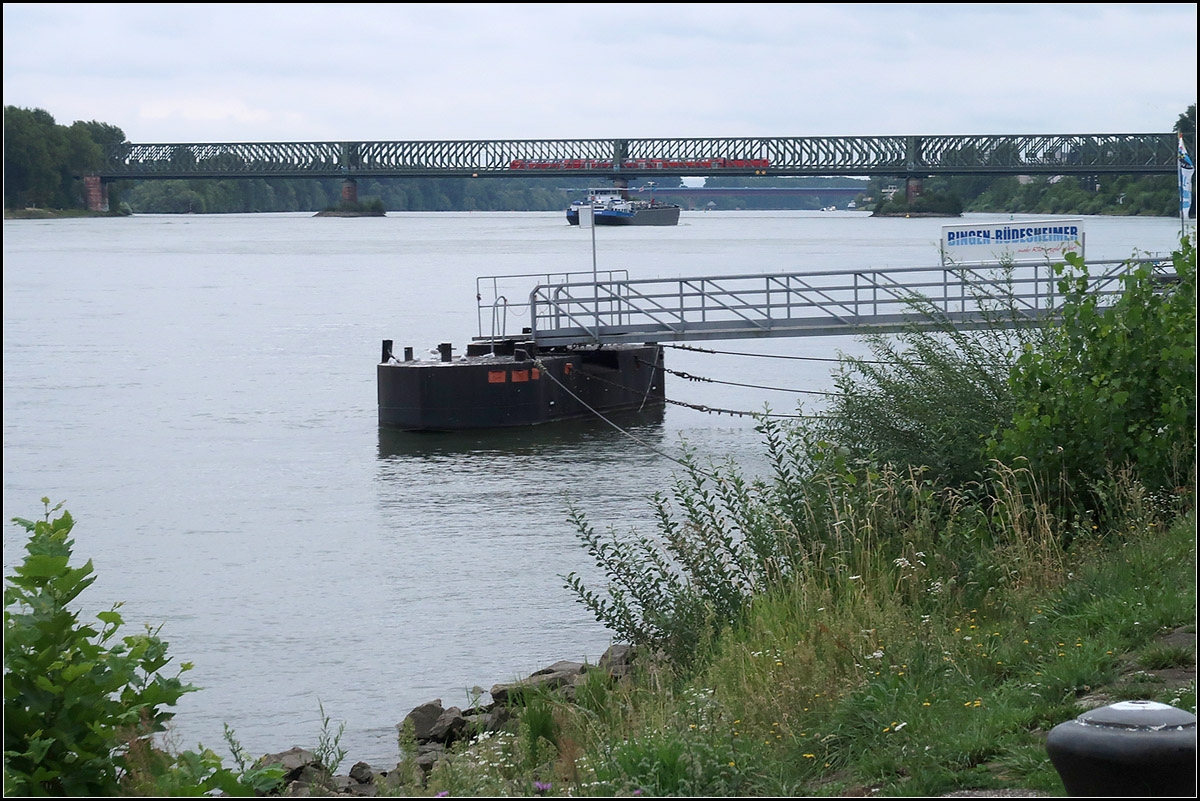 Über den Rhein beim Main -

Der Sommer 2017 zeigte sich eher von seiner tristen Seite, als dieser doppelstöckige RE den Rhein auf der Mainzer Südbrücke überquerte.

12.08.2017 (M)