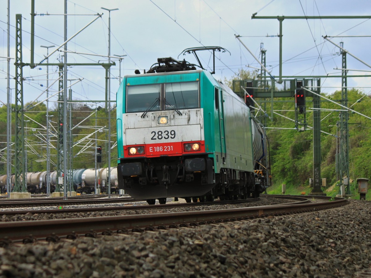 Umleiter auf der KBS 485. Cobra 186 231 (2839) zieht am 15.04.2014 einen langen Kesselzug aus Aachen West nach Gremberg. Wegen eins Brückenabriss ist die KBS 480 in Düren für 8 Tage komplett gesperrt. Deshalb fahren die Fern- und Güterzüge zur Zeit auf der KBS 485 über Rheydt nach Köln.