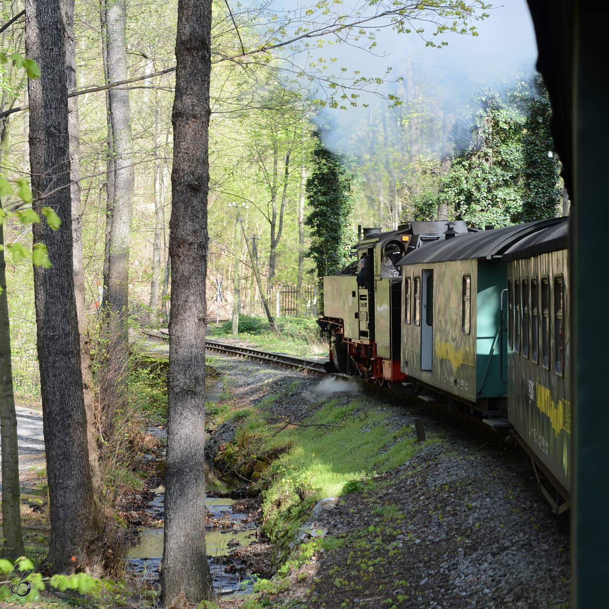 Unterwegs mit der Lößnitzgrundbahn... (Friedewald, April 2014)