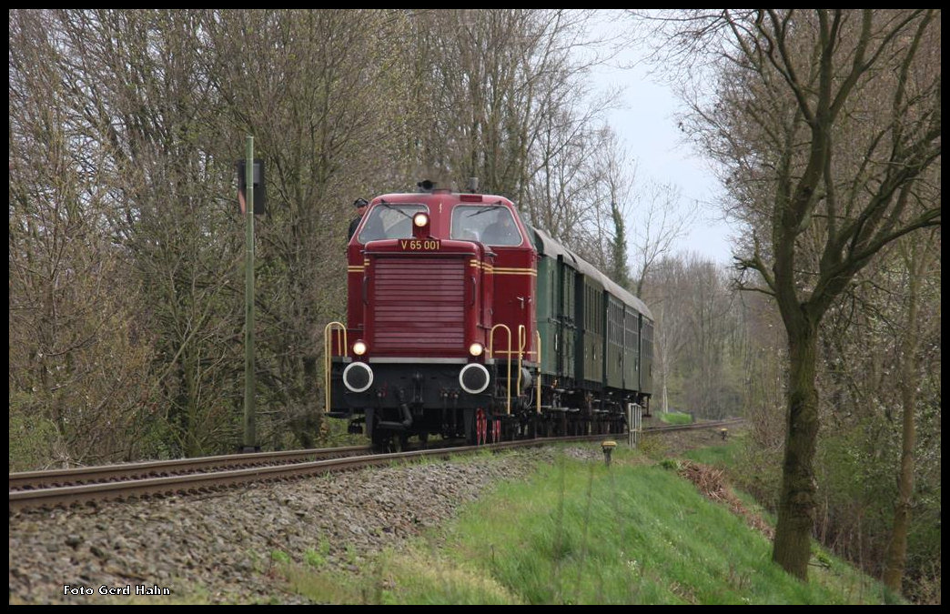 V 65001 des ODF kehrte am 15.04.2016 um 17.09 Uhr mit einem Sonderzug aus dem Stahlwerk in Georgsmarienhütte zurück. Hier ist der Zug im Ortsteil von Hasbergen in Ohrbeck auf der Hüttenbahn unterwegs.