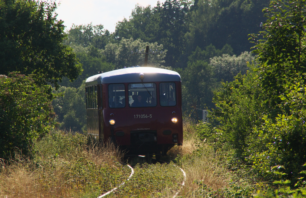 Voll im Gegenlicht kam 171 056-5 auf der letzten Fahrt des Tages am 10.08.2013 kurz vor 18.00 Uhr aus Richtung Schleiz daher.
Die Wisentatalbahn verluft durch viele Wiesen und Wlder und die Strecke und die Natur haben sich an manchen Stellen schon angepasst.
Die Ferkeltaxe befindet sich hier zwischen Schleiz und Wstendittersdorf an der Holzmhle.
Bahnstrecke 6656 Schnberg - Schleiz