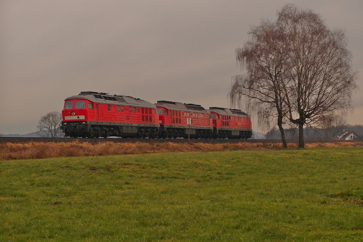Von Lindau-Reutin aus kommend befinden sich 232 524-9, 232 209-7 und eine dritte 232er zwischen Krebronn und Langenargen am 04.01.2014 auf der Fahrt Richtung Friedrichshafen.
