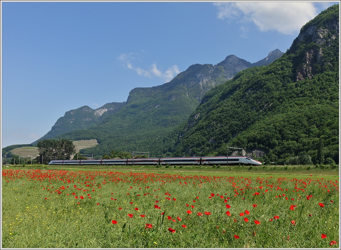 Vorbei an einem Mohnblumenfeld fährt der EC 32 zwischen Yvorne und Roche (VD) in Richtung Genf.
(27.05.2015)




 