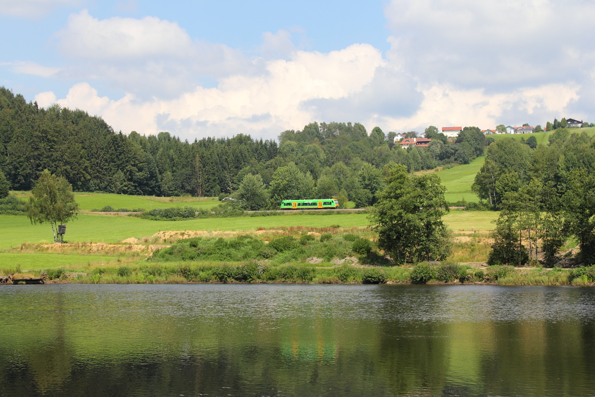 VT 21 (650 656-1) der Waldbahn bei Spiegelau am 19.08.2016.