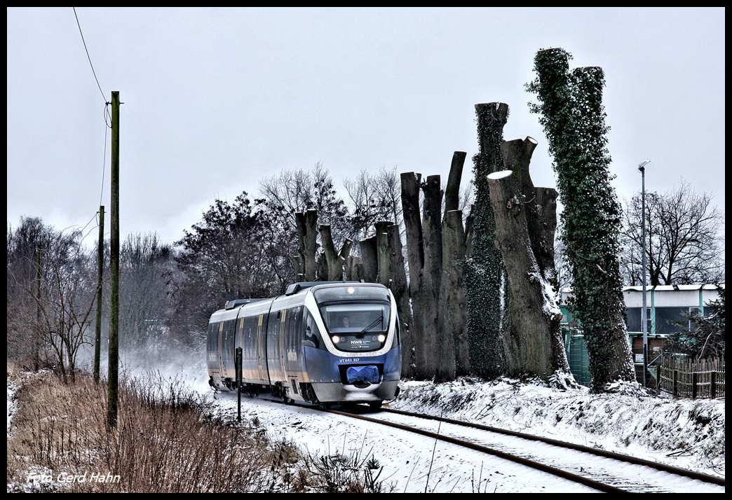 VT 643317 der Nordwestbahn hier am 7.2.2017 um 10.03 Uhr am ehemaligen Haltepunkt Malbergen des Haller Willem auf der Fahrt nach Osnabrück.