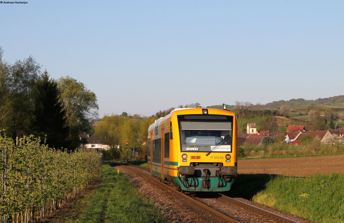 VT 650.80 als SWE74259 (Endingen-Gottenheim) bei Bötzingen 20.4.16