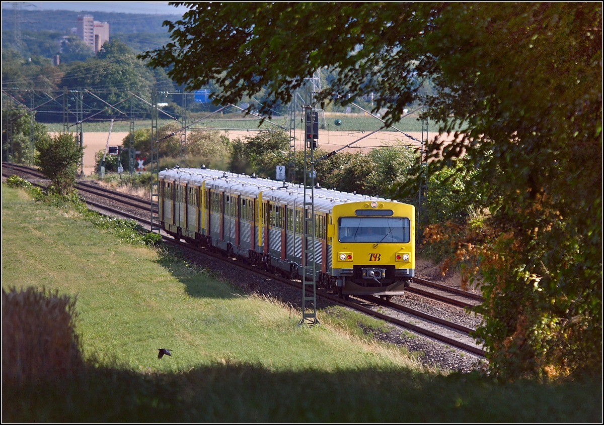 VT2E der hessischen Landesbahn in Dreifachtraktion bei Eschborn. Juli 2015.