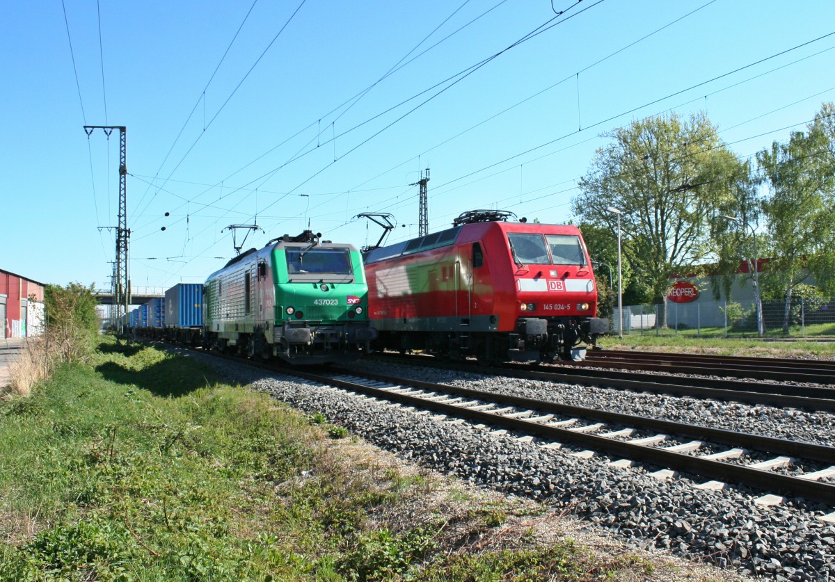 Während es sich 437023 mit dem DGS 40424 von Malaszewicze nach Bantzenheim auf Gleis 13 für über ein einhalb Stunden bequem machte, ratterte 145 034-5 mit ihrem KLV-Zug über Gleis 20 munter weiter in Richtung Basel Rbf. Das Bild entstand am Vormittag des 17.04.14 im Bahnhof Müllheim (Baden).