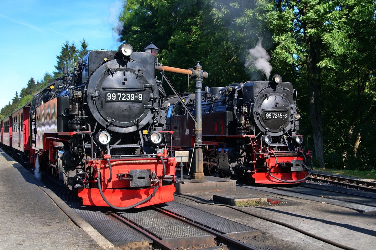 Whrend HSB 99 7239 whrend ihres Halts am 02.09.16 in Drei Annen auf der Fahrt zum Brocken den Wasservorrat auffllen lsst, setzt sich 99 7245 mit Zug Nr. 8929 nach Nordhausen in Bewegung.