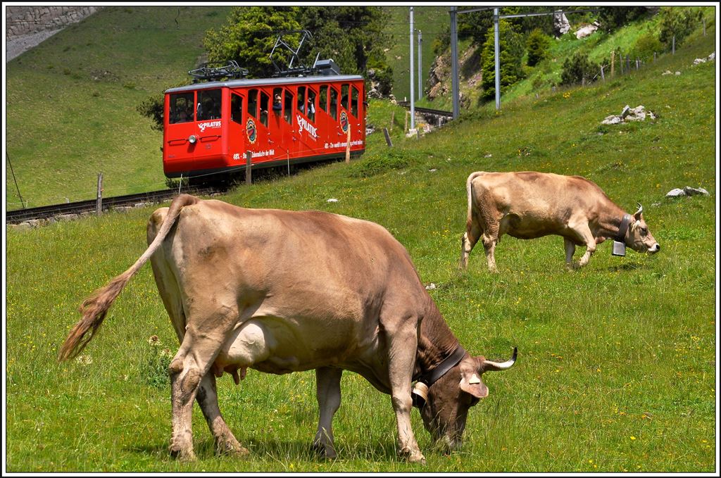 Wagen 23 auf der Alp Matt Richtung Pilatus Kulm. (03.07.2014)