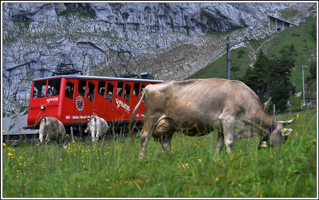 Wagen 25 auf der Alp Matt Richtung Pilatus Kulm. (03.07.2014)