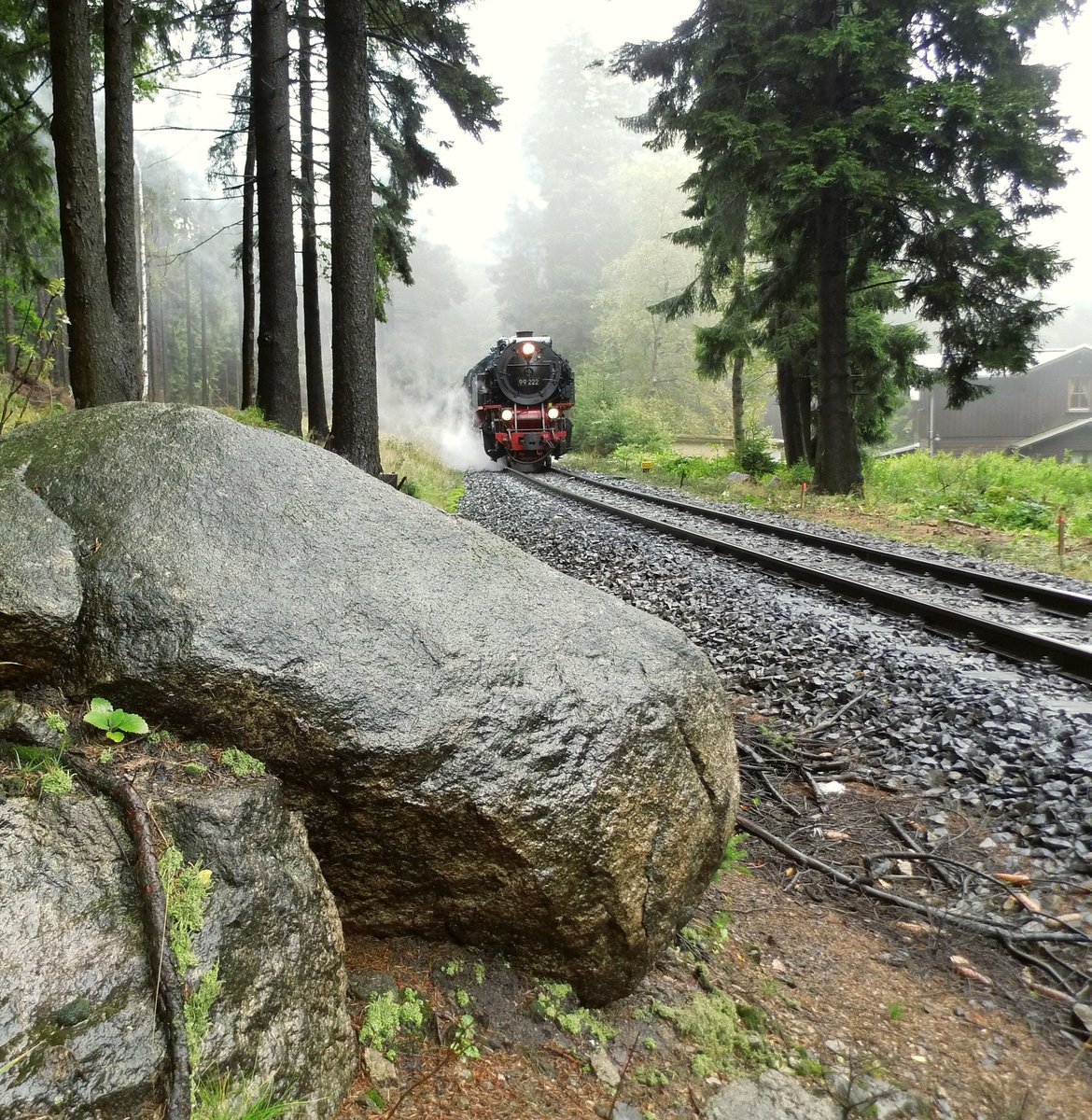 Wenn man so mit dem Traditionszug unterwegs ist, sind die Motive rar. Da der Zug während der planmäßigen Kreuzung/Überholung im Bahnhof Schierke nur im Wege wäre, wird er zum Gaudi der Gäste in den Wald rangiert. Das bietet wiederum Gelegenheit, den Zug  mal anders  zu fotografieren.
Zum Glück liegen hier schon etliche Granitblöcke recht dekorativ am Schienenstrang, sodas mit knackenden Knien dieses Bild entstand.Der mich beobachtende Lokführer konnte sich dabei ein dezentes Kopfschütteln nicht verkneifen.