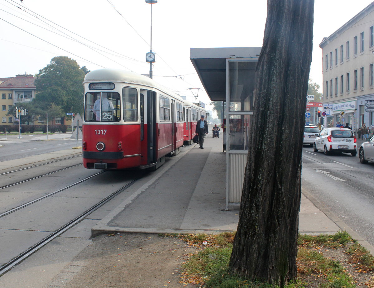 Wien Wiener Linien SL 25 (c4 1317 + E1 4776) XXII, Donaustadt, Erzherzog-Karl-Straße / Donaustadtstraße (Hst. Donaustadtstraße) am 18. Oktober 2017.