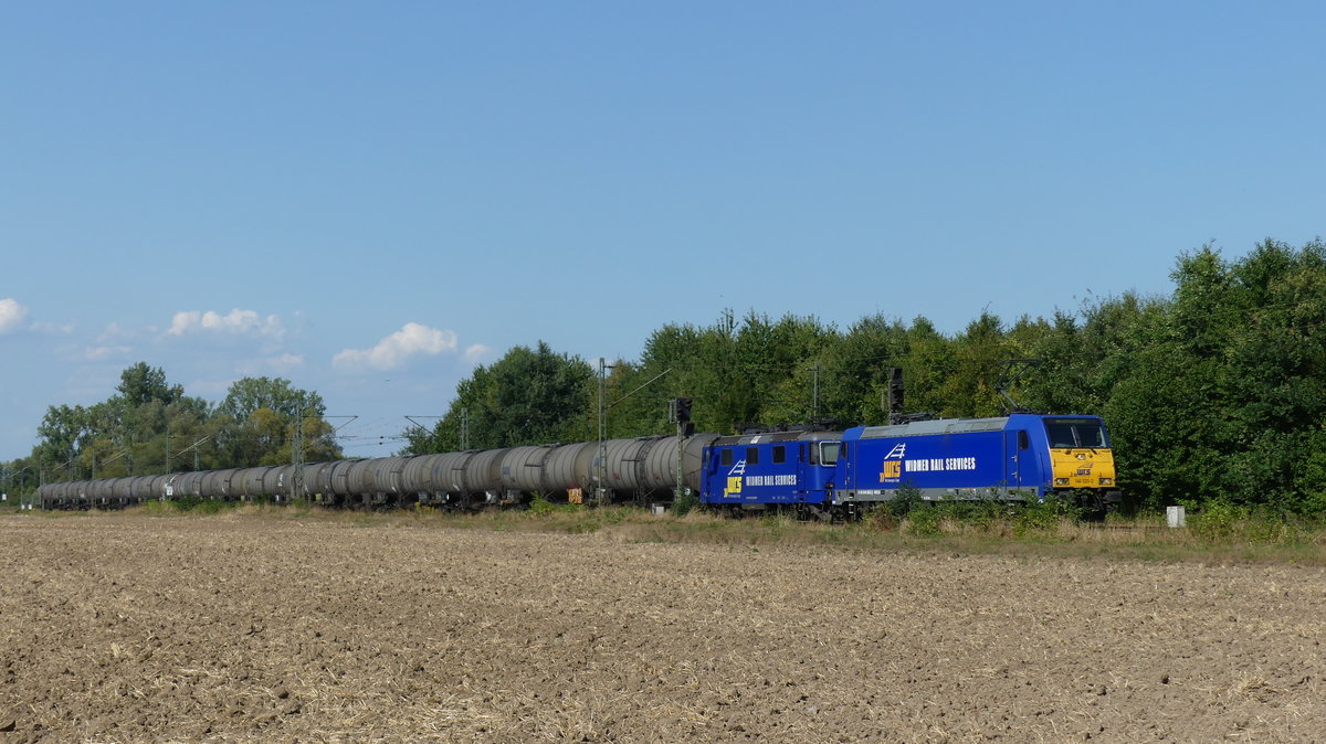 WRS 146 520 mit 421 373 und einem Kesselwagenzug am Haken zwischen Groß-Gerau Dornberg und Groß-Gerau Dornheim. Aufgenommen am 22.8.2018 16:28