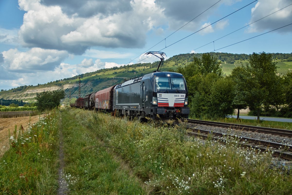 X4E -608 ( 193 608) ist in Richtung Würzburg unterwegs und passiert am 09.08.16 mit einen kurzen Güterzug Thüngersheim.