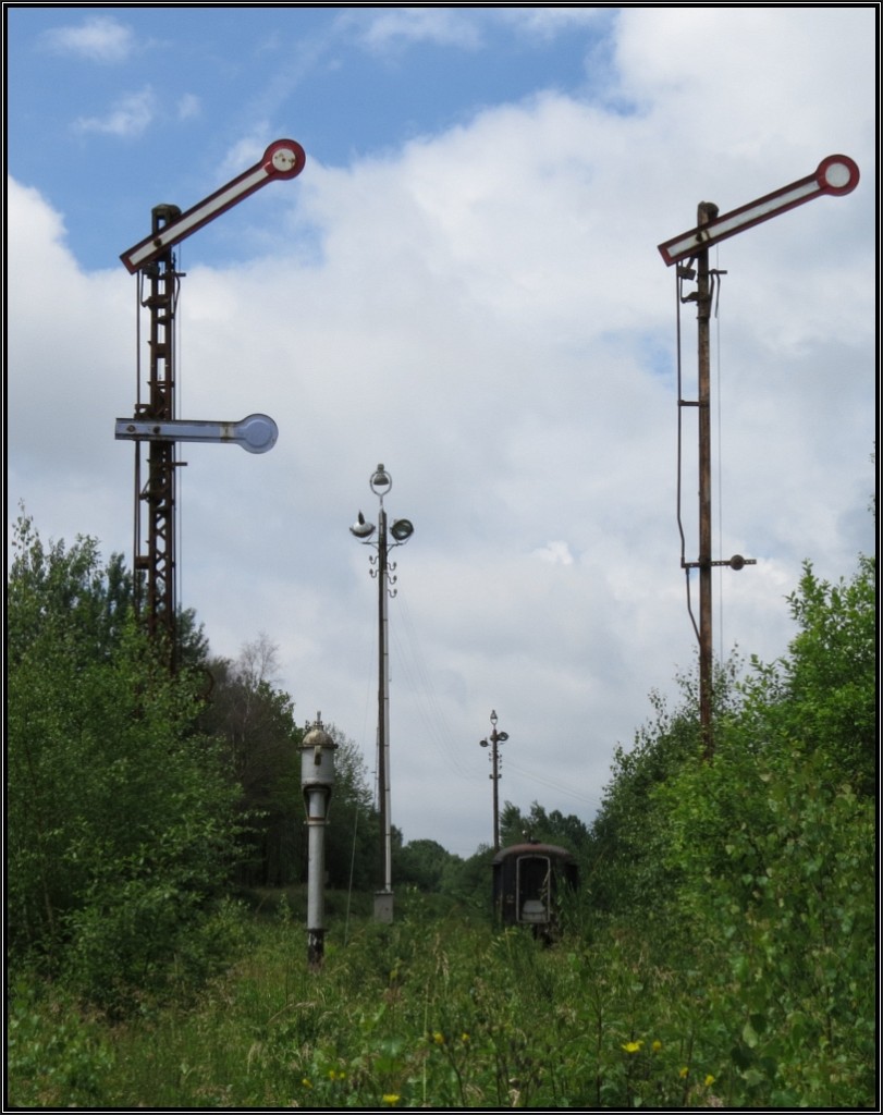 Zeitzeugen einer vergangenen Epoche. Die Ausfahrtssignale am Bahnhof in Raeren (Belgien) an der ehemaligen Vennbahn zeigen  Freie Fahrt . Leider fährt hier seit langer Zeit nichts mehr. Der Blick geht hinaus in Richtung Eupen. Die Natur hat hier ihr Revier zurückerobert. Szenario vom frei zugänglichen Gelände am 23.Juni 2015.
