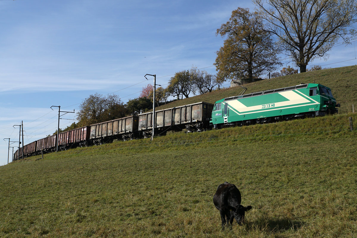 Zuckerrübenkampagne 2017
MBC/BAM: MINI-BAHNBILDER-TREFFEN VOM 17. Oktober 2017
an der Strecke der Chemin de fer Bière–Apples–Morges während der Zuckerrübenernte.
Ein herzliches Dankeschön an meine lieben Kollegen Stefan Wohlfahrt und Peter Ackermann für den gemütlichen Tag, den wir zusammen bei herrlichem Wetter bei gutem Zuckerrübenduft und nur wenig Wein in der Westschweiz erleben durften.
Ge 4/4 mit leeren Eaos unterhalb Chardonney-Château.
Foto: Walter Ruetsch   
 