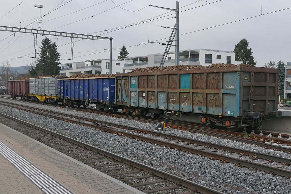 Zuckerrbenverlad 2018 in Brglen (TG) - Am 16.11.2018 werden die Rben in unterschiedliche Wagentypen aus verschiedenen europischen Lndern verladen und nach Frauenfeld transportiert. Vorne ein Fas aus Belgien, dann ein blauer Eaos aus Polen, gefolgt von einem Sgmmnss mit Wechselbehltern aus der Schweiz und zum Schlu ein Eas aus Deutschland.