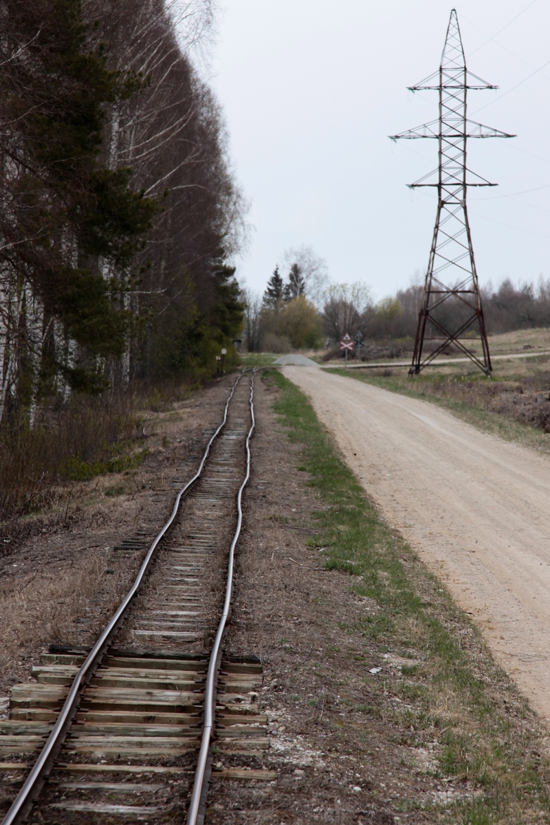 Zum Schmalspurbahnmuseum Lavassaare gehört auch ein 750mm Streckenabschnitt, der regelmäßig befahren wird. Die Gleislage ist aber schon recht abenteuerlich. (10.05.2017)