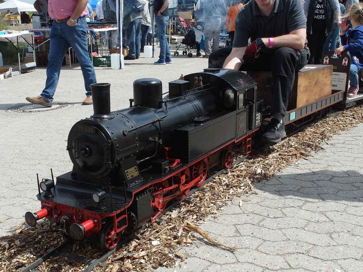 Zum Sommerfest der Eisenbahnfreunde Schwarzenbek war auch diese kleine HANOMAG 75 026 für Fahrten auf 140 Meter Gleis im Einsatz; 15.07.2017
