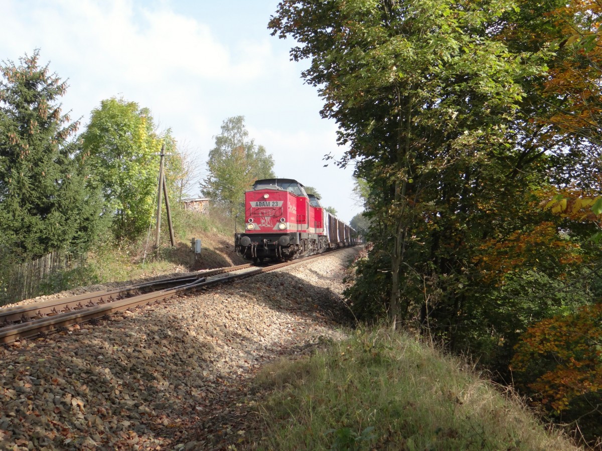 Zwei 202 xxx mit einem Holzzug zu sehen am 05.10.14 in Unterlemnitz.