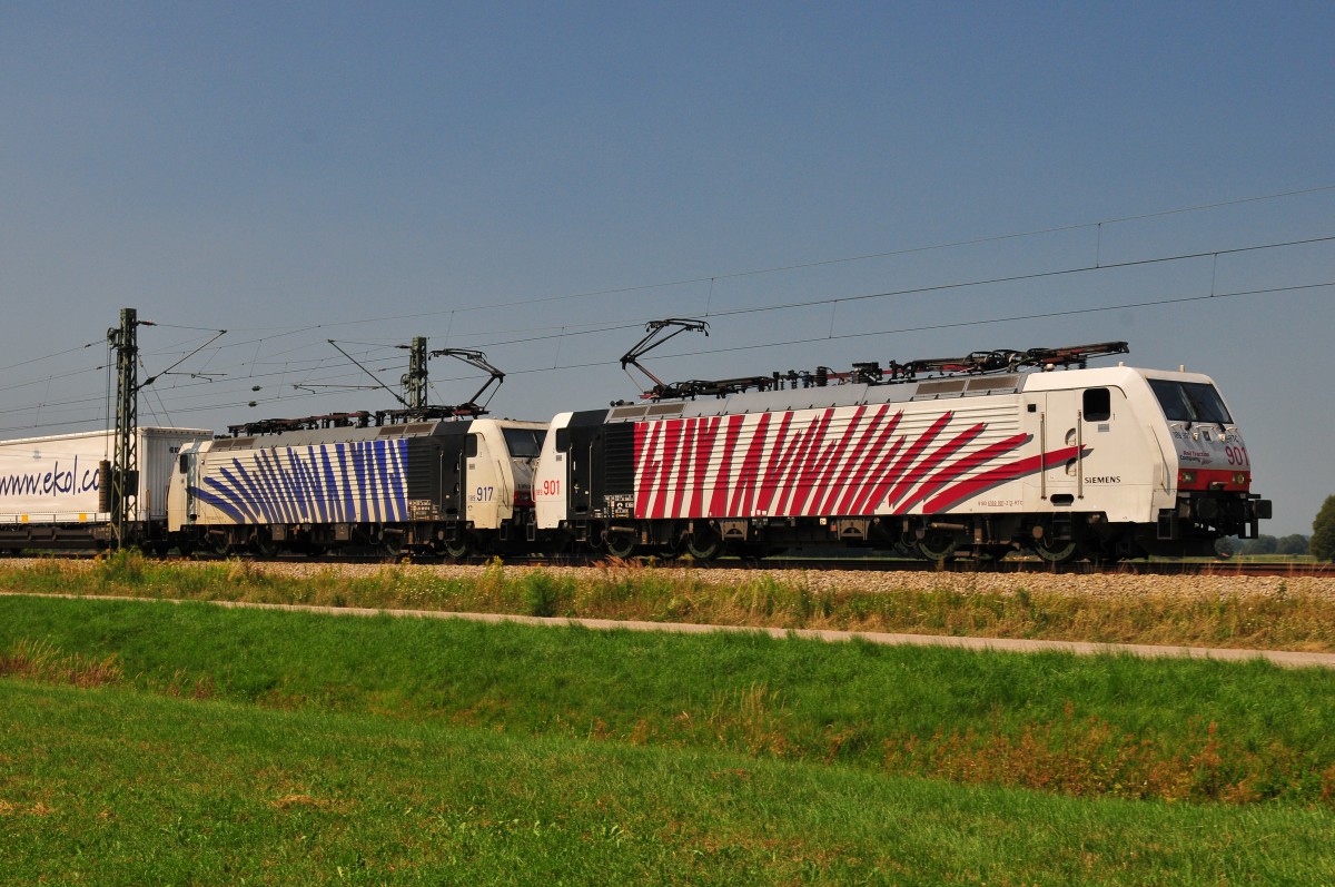 Zwei Zebras von Locomotion, die 189.901 und die 189.917 vor dem Ekol-Zug am 13.08.15 bei Übersee am Chiemsee