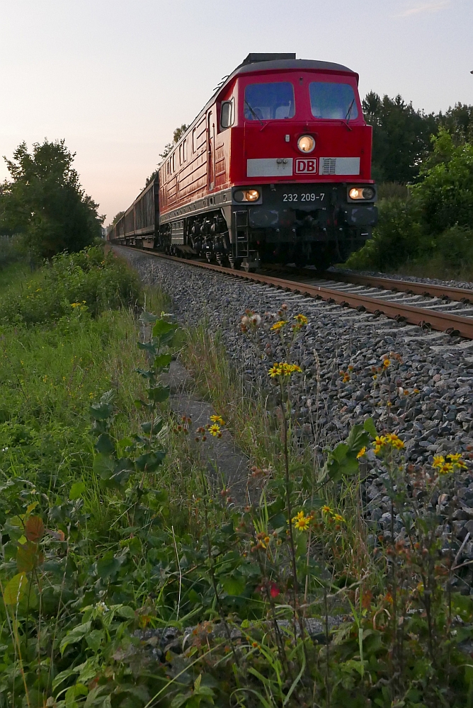 Zwischen Kluftern und Fischbach zieht 232 209-7 einen grtenteils aus 4-achsigen Schiebewandwagen gebildeten „Rheintalbahn-Umleiter“ von Singen kommend Richtung Friedrichshafen/Ulm (23.08.2017).