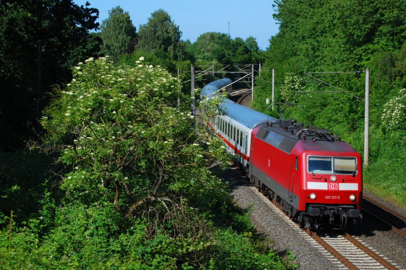 120 137 mit IC 2575 Kiel - Hamburg-Altona 22.06.09