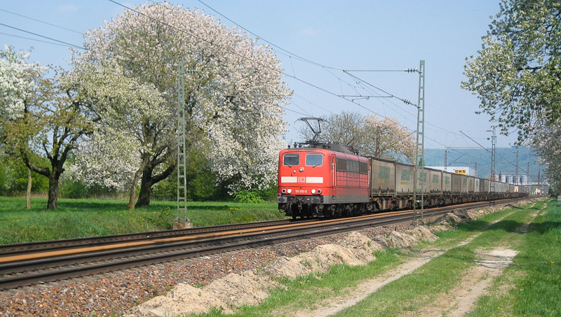 151 051 mit TEC am 15. April 2009 bei Muggensturm.