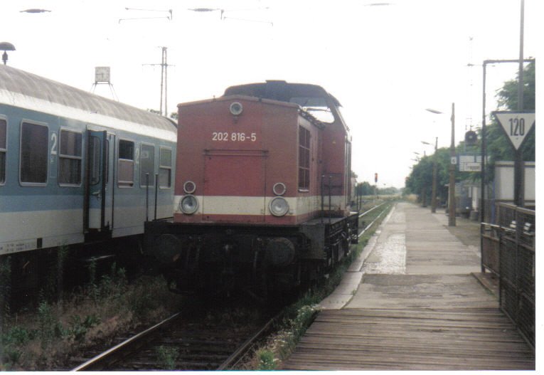 202 816-5 (ex V100 DR) bei der Durchfahrt Falkenberg/Elster ob. Bhf
Bahnsteig 6
Aufnahmezeitpunkt ca. 1994-1995