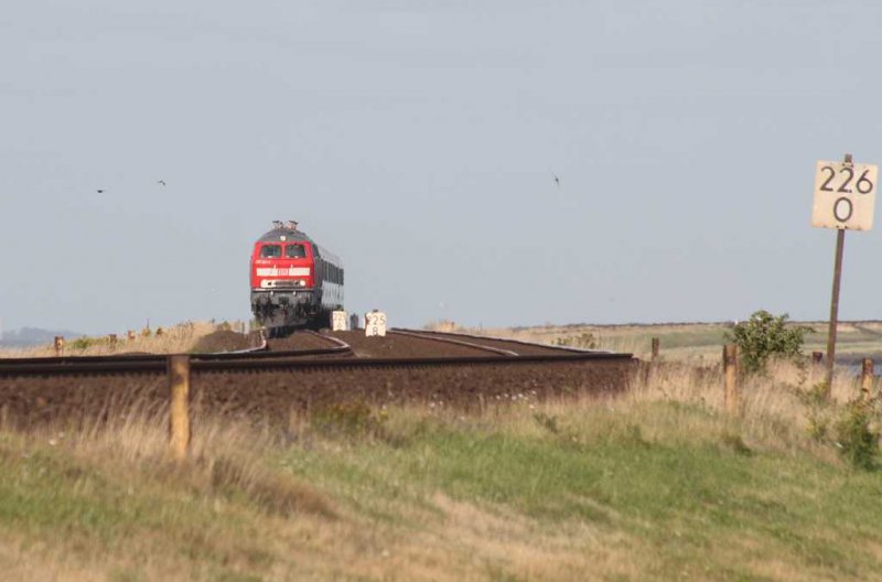 218 341 fhrt am 14.8.2009 mit einem InterCity ber den Hindeburgdamm bei Morsum. 
Aufgenommen mit 280mm Brennweite.