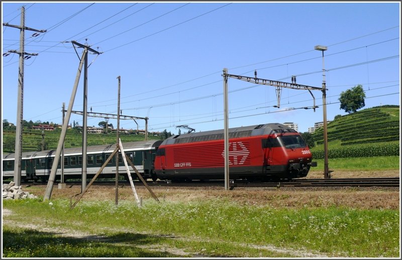 460 116-7 mit einem IR kurz vor Balerna und dem Ziel Chiasso. (22.07.2008)