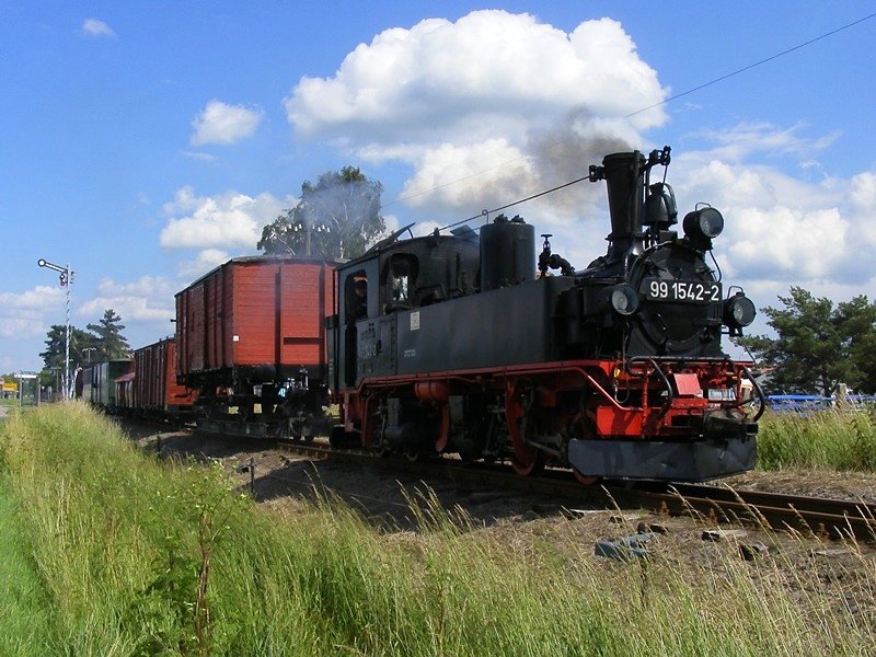 99 1542-2 am 12.6.2009 in Grauschwitz-Flocke.