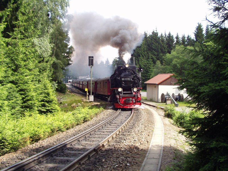 99 7239 bei der Ausfahrt im Bahnhof Schierke Richtung Brocken am 08.07.07