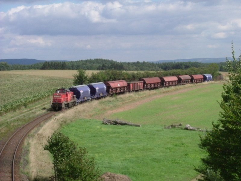 Am 31.08.2006 fhrt eine 294 mit einem Gterzug Richtung Amberg (Strecke Amberg-Schnaittenbach), hier zwischen Hirschau und Gebenbach. Der Zug hatte kaolin und Quarzsand geladen. Man beachten den an vierter Stelle laufenden Tamns-Wagen, diese sind auf dieser Strecke extrem selten.