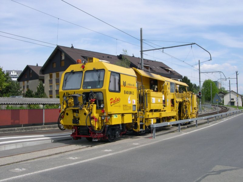 Across Switzerland, 2008 - Between the track and Täuffelen Lüscherts