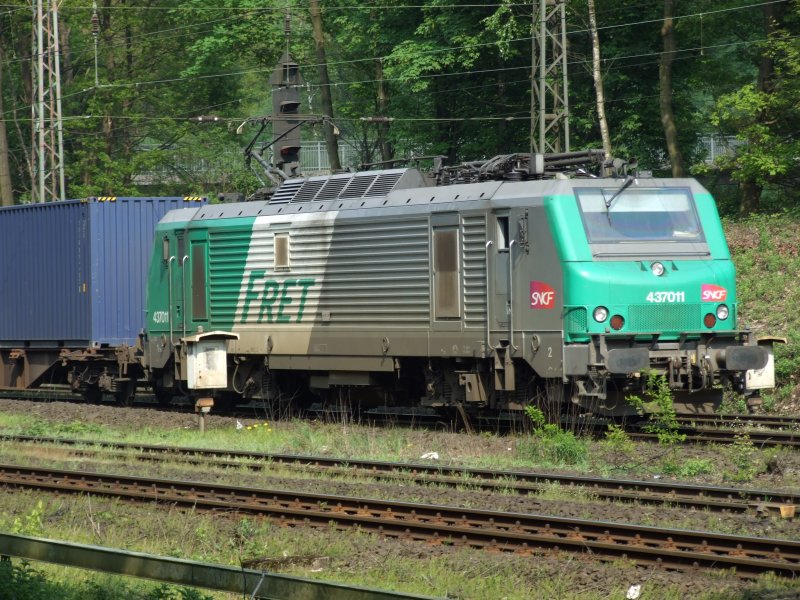 FRET 437011 am 24.4.09 in Duisburg-Neudorf 