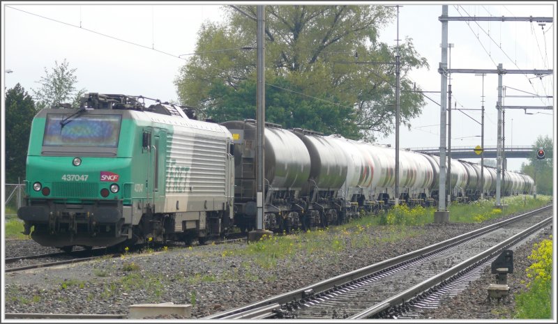 The Prima 437 037 locomotive SNCF / Fret also waiting