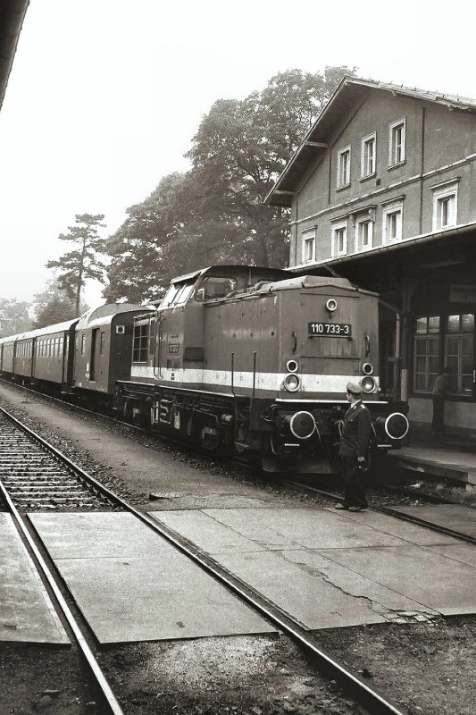 BR 110 der deeutschen Reichsbahn mit Personenzug Pirna-Neustadt/Sa in Neustadt/Sachsen mit zweiachsigen Rekowagen, um 1986