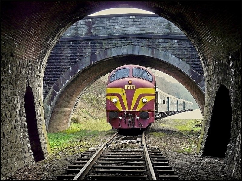 Nochmal verschiedene runde Formen, diesmal aber klinisch rein, fotografiert am