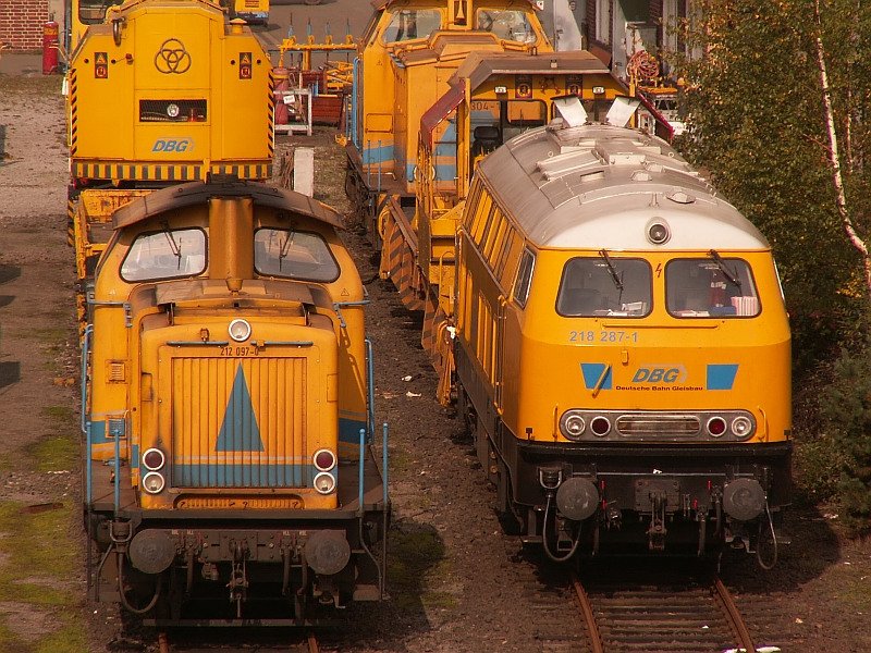 Zwei Sch�nheiten in Duisburg Entenfang. Das Foto stammt vom 08.10.2007