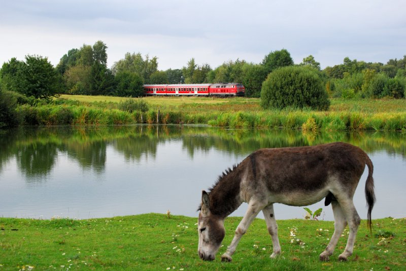 Mit der 218 durch die Holsteinische Schweiz bei Malente. 