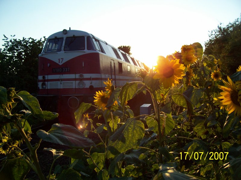 V 180 abgestellt an einem Bahn�bergang in Steinfurt-Burgsteinfurt w�hrend der