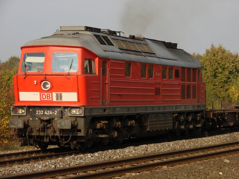 232 424 am 16.10.07 mit G�terzug aus Richtung L�beck-Skandinavienkai. An