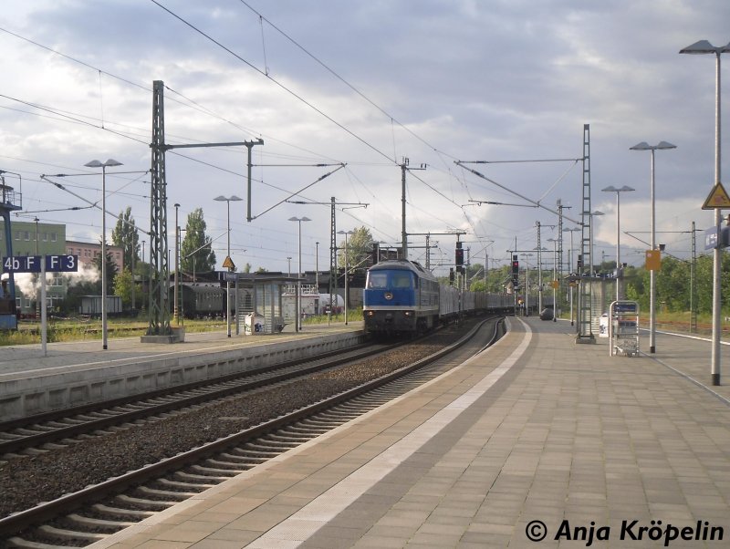 D 06 mit Holzzug durch Schwerin Hbf am 25.Juli.09 