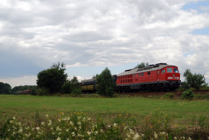 233 043 mit einem G�terzug am Abzw. S�richen (25.07.2007) 
